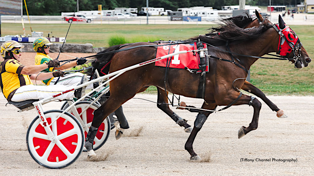 Henry Sweeps 2025 Balanced Image Elims