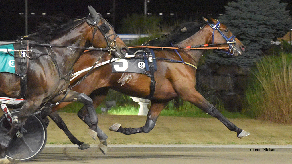 Tyrone Bow Tie Trips Out In Rideau Preferred