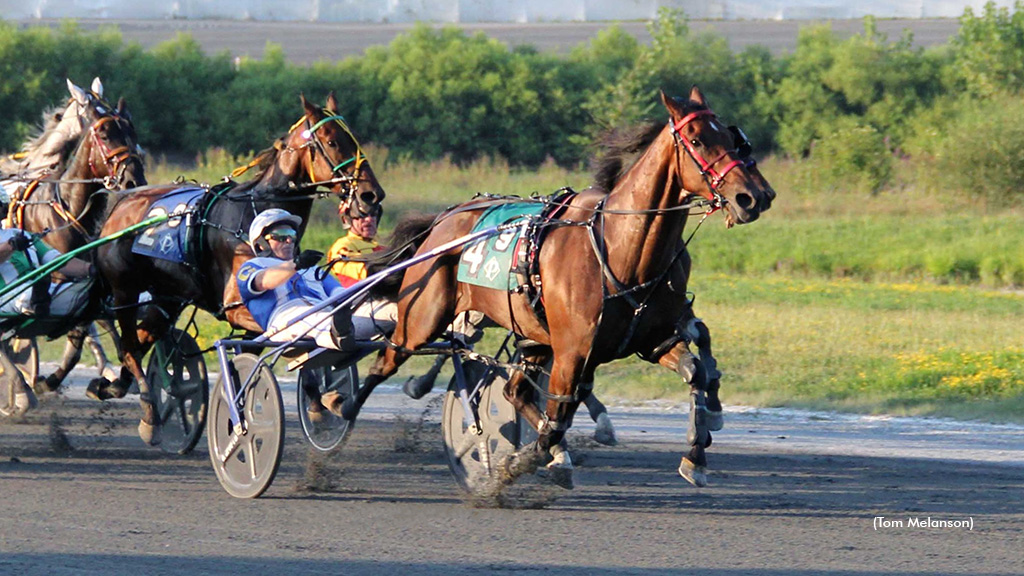 Vintage Cheddar N Swift Again In Plainrdge Open