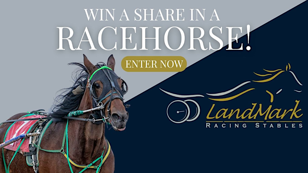 Enter To Win A Share In A Racehorse!