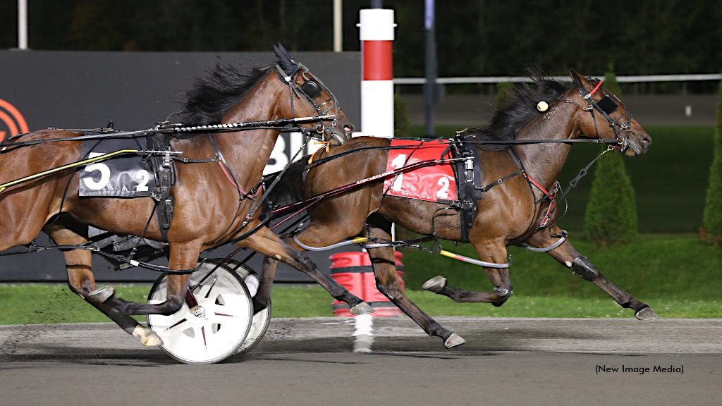 A Clean Deal Headlines Mohawk Gold Winners