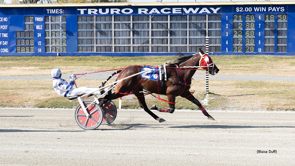 American Risk Triumphs In Truro Winners Over