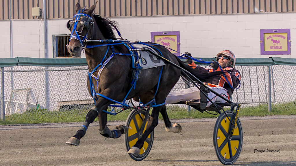 Big Boy Hill Upsets In Celtic Financial Series Final