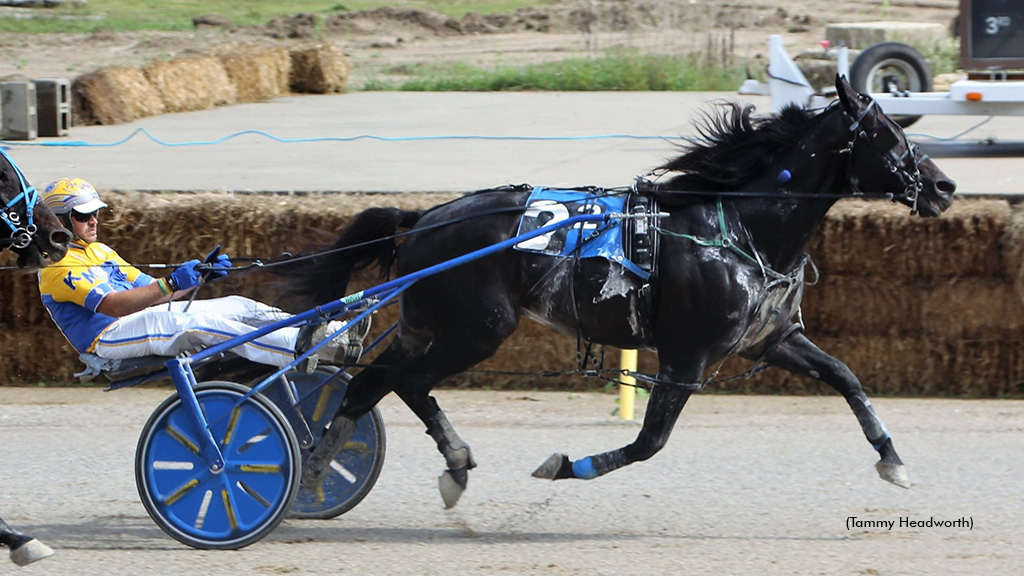 Celebrity Pegasus Breaks Northville Record