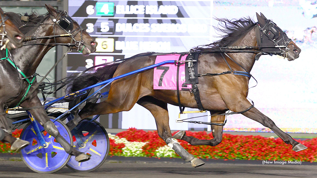 Roy Reaches Milestone; Rookie Grassroots Consolations Held