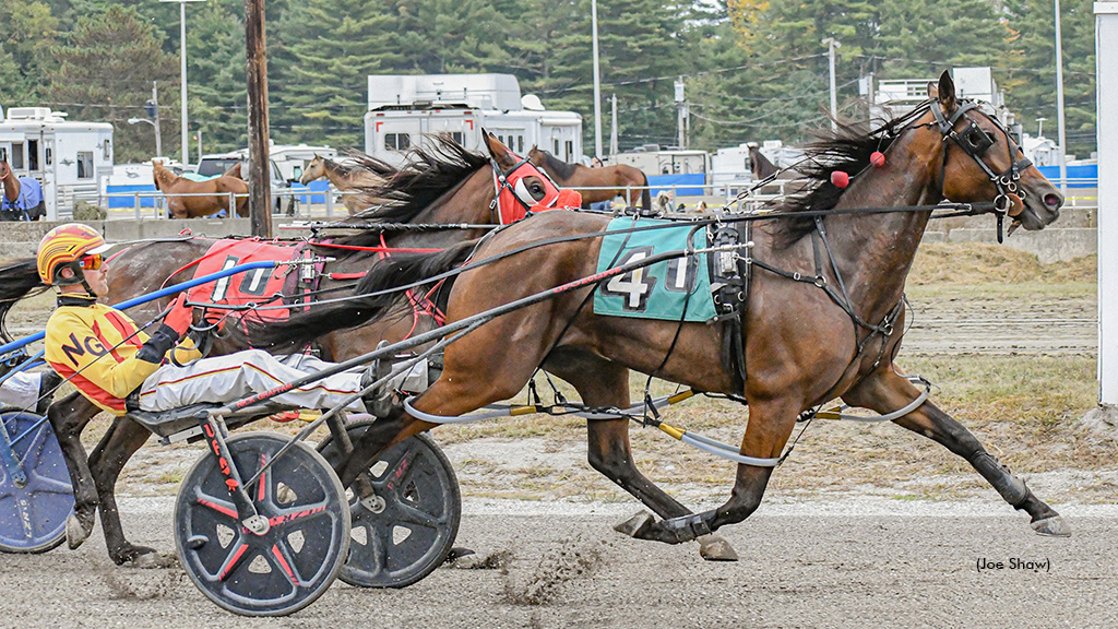 Maine's Top Sophomore Fillies Back In Sire Stakes Spotlight