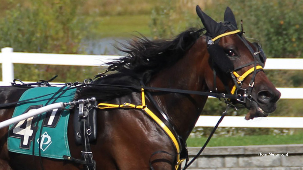 Corner Store Shatters Records In Massachusetts Stakes