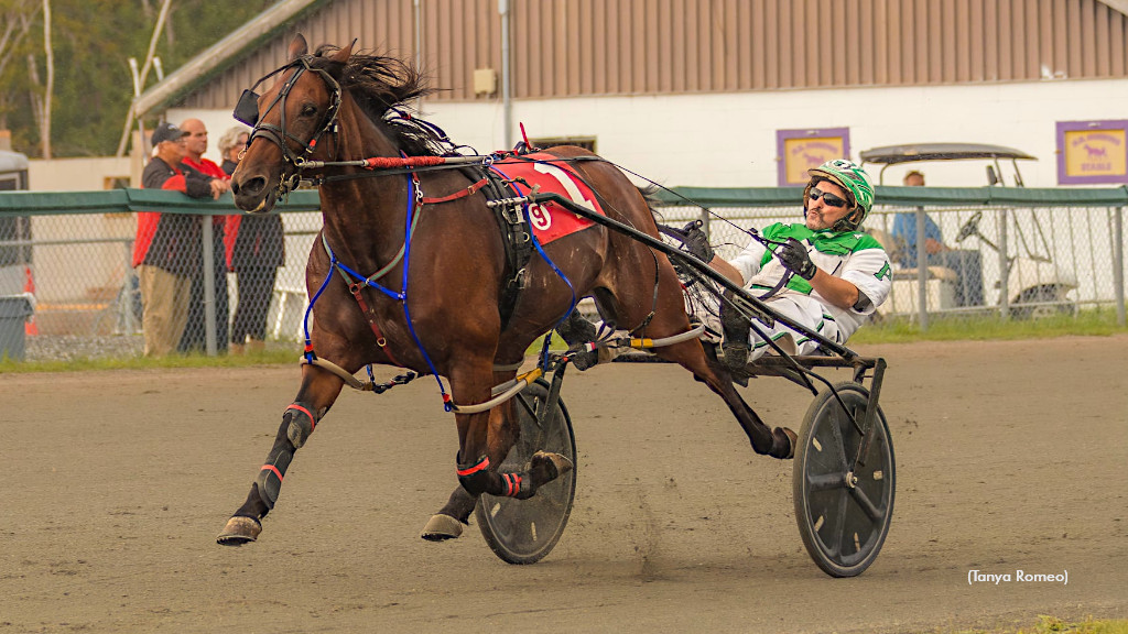 Don't Believe It? Just Watch!