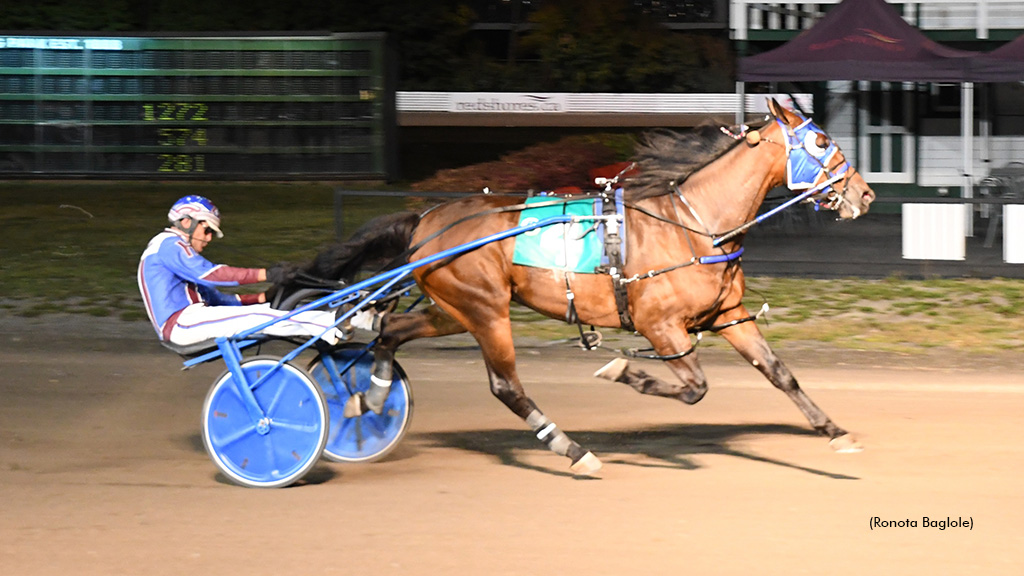 Fight Song Capitalizes In Charlottetown Open Trot