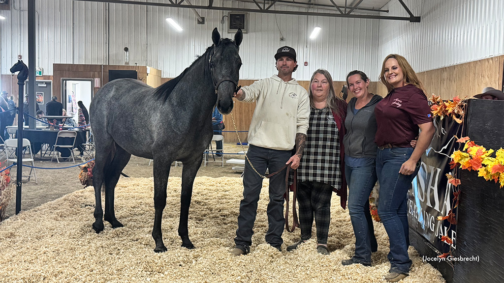 Record-Setting Forbearance Tops ASHA Yearling Sale