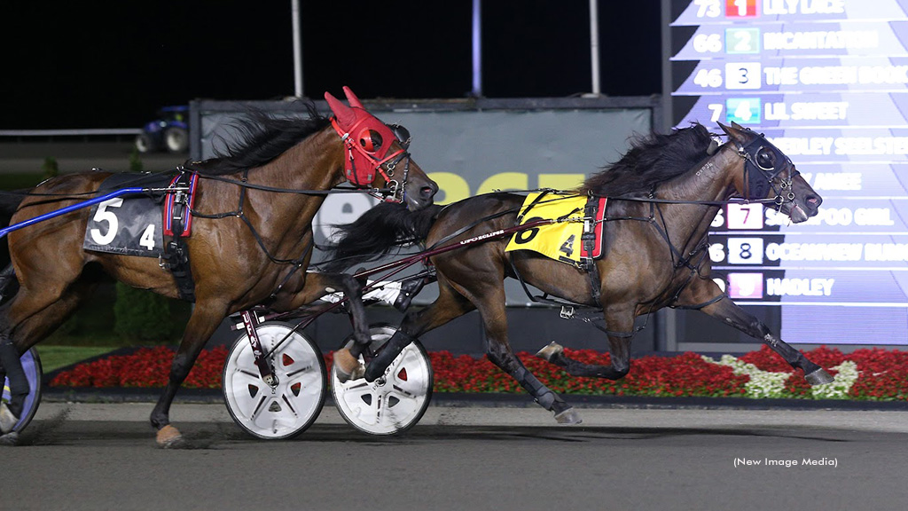 Foxy Amee Leads Mohawk Grassroots Winners