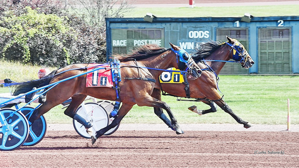 Quick Trotters, Longshots Top Pocono Tuesday Card