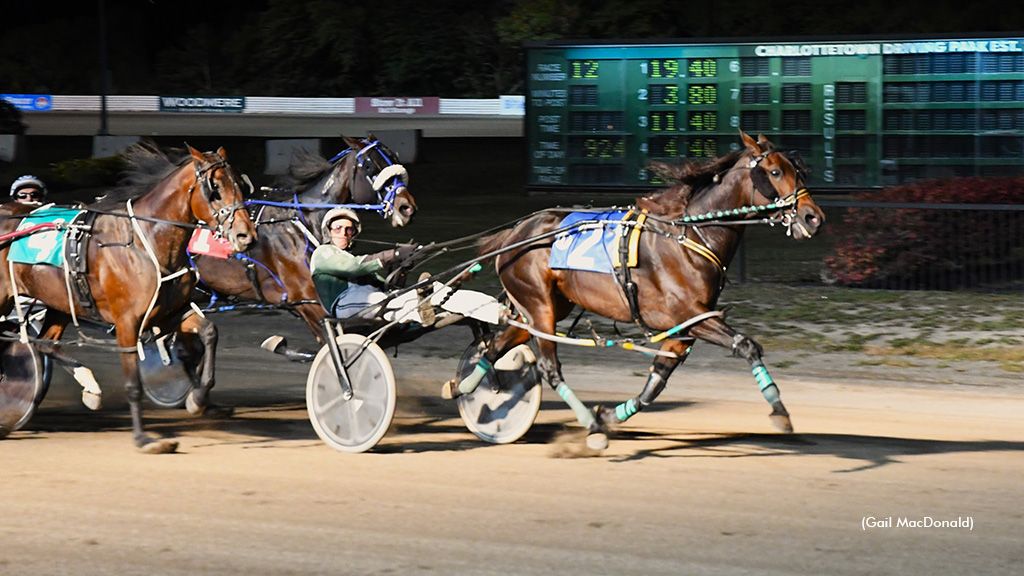 Get Answers Leaves No Doubt In Charlottetown Preferred