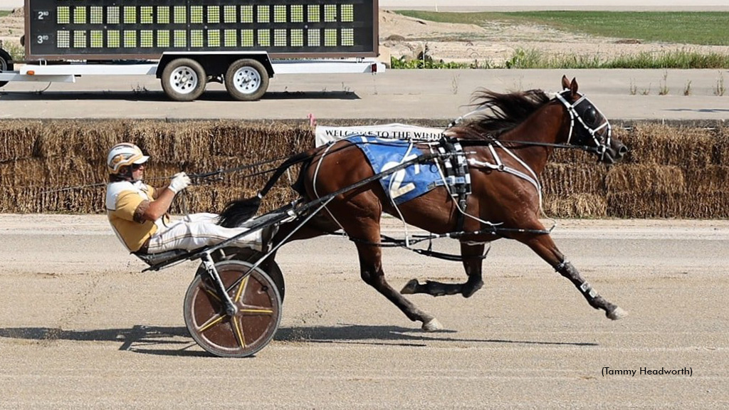 Track Records Set At Northville Downs
