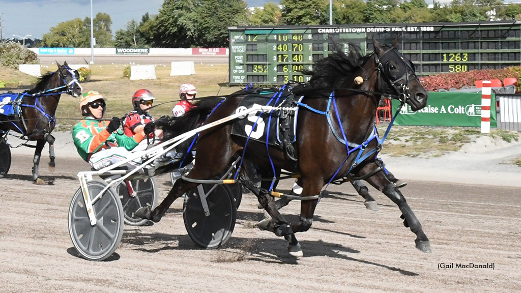 House Edge Hanover Deals A Winner In Charlottetown Preferred