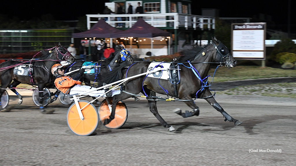 House Edge Hanover: A One-Eyed Warrior