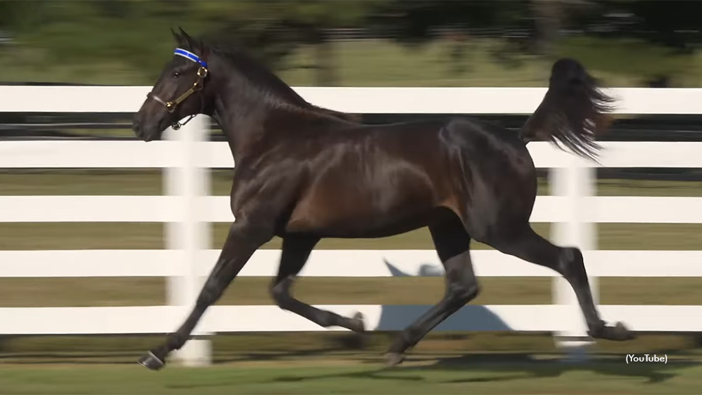 Jimdougie Armitage Tops Lexington Second Session