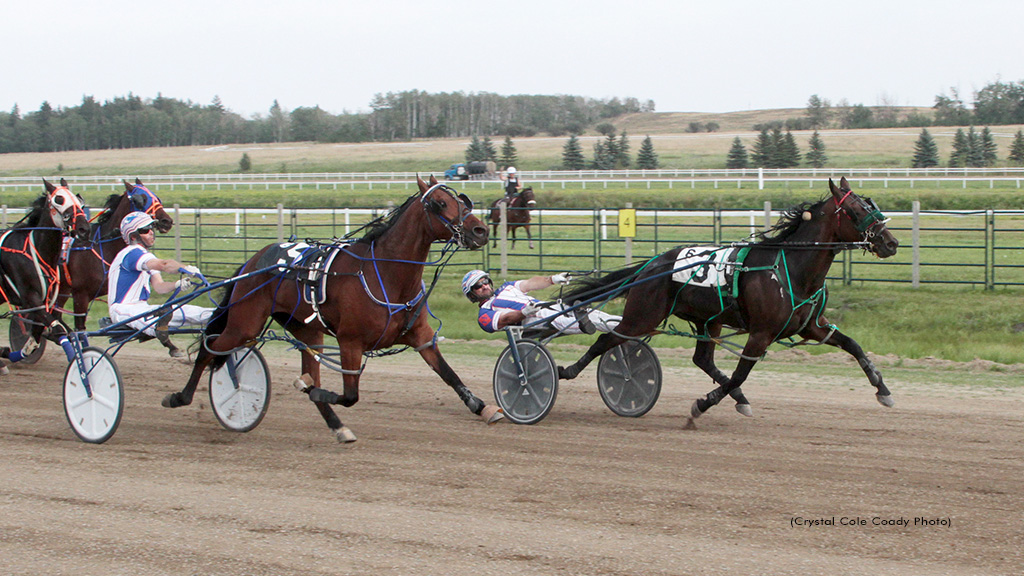 Kiss My Bet Leads Five Winners For Hennessy