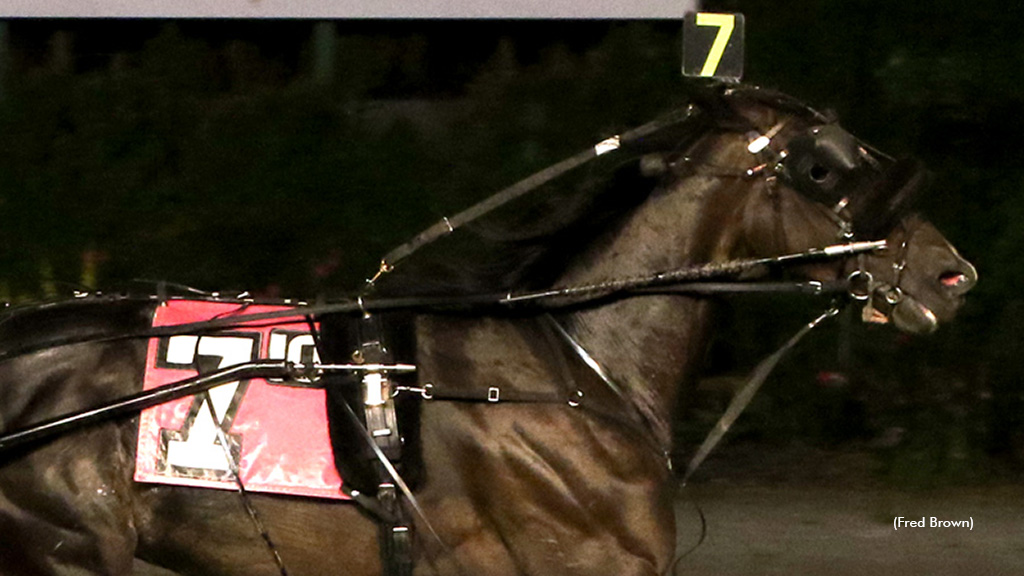 Last Goodbye Arrives Late In Summer Sensation Final