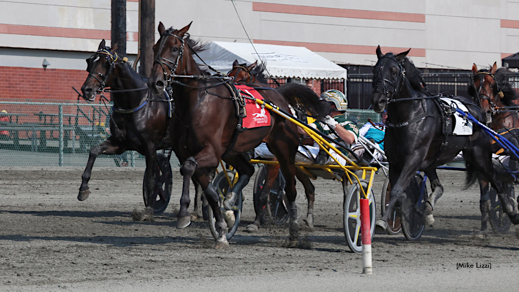 Canada's Lexus Kody Wins 2025 International Trot