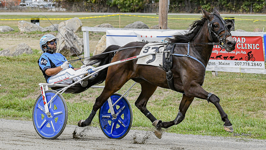 Libertys Wildcard Stars In Maine Sire Stakes