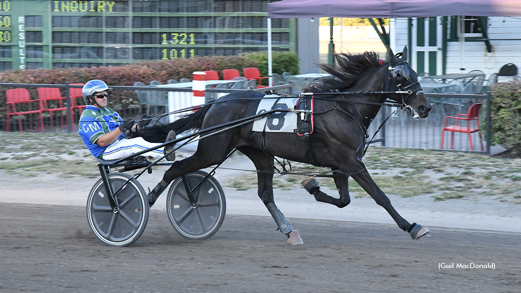 Trotting Stars Set For P.E.I. Colt Stakes Thursday