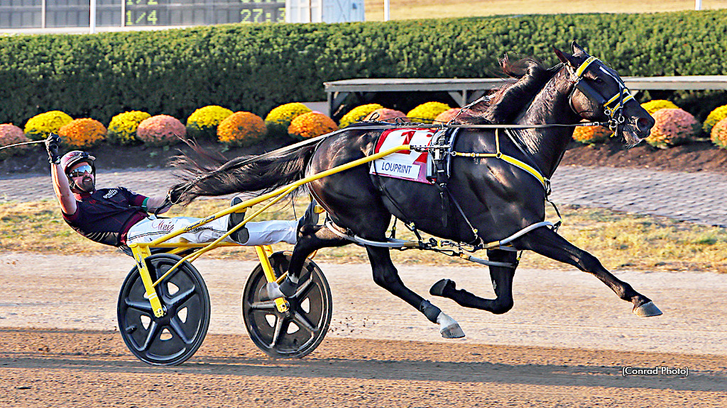 Louprint Reclaims Top Spot In Harness Racing Poll