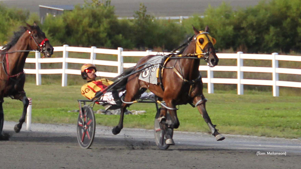 Mach Seelster Blasts To Plainridge Feature Victory