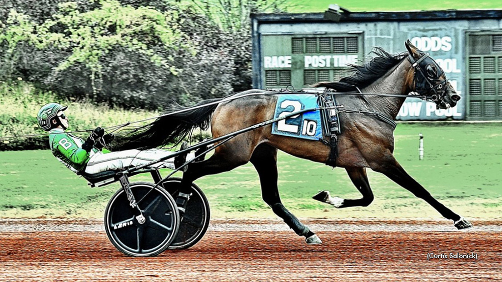 Made Of Dreams Sweet In Pocono Top Trot