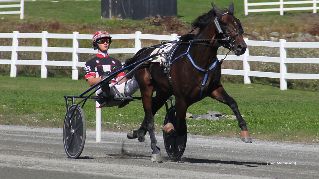 Freshmen Flying In Massachusetts Stakes