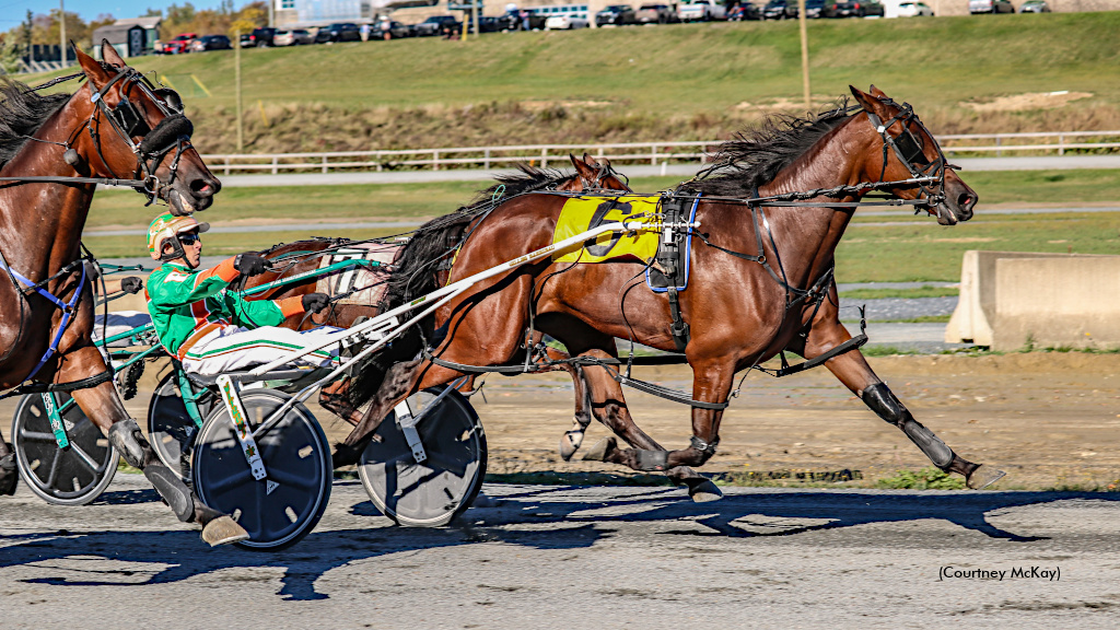 My Happy Place Sweeps The Maritimer