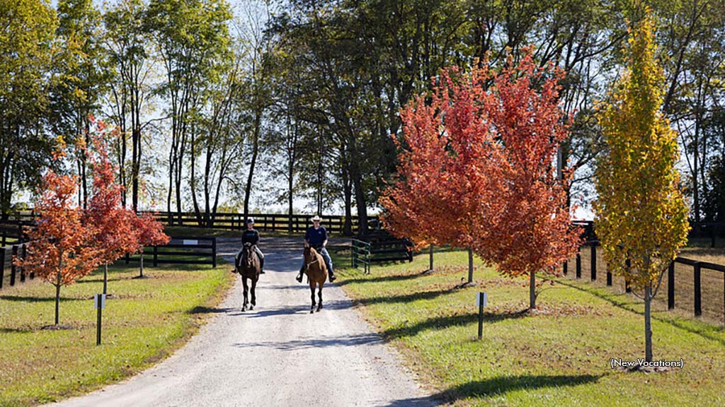 New Vocations Planning 2026 Stallion Auction