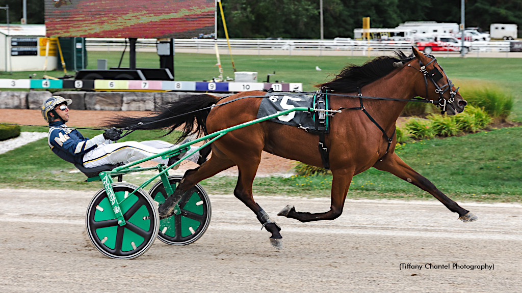 Oceanview Rumours Maintains Leader Status Saturday