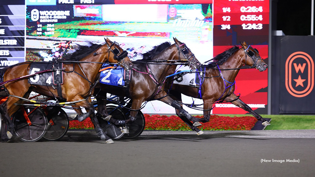 Roy Triples In Ontario Sires Stakes Grassroots