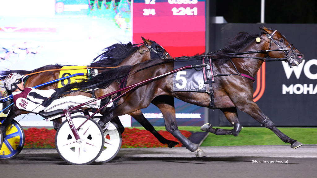 Osceola On Top In Mohawk Open Trot