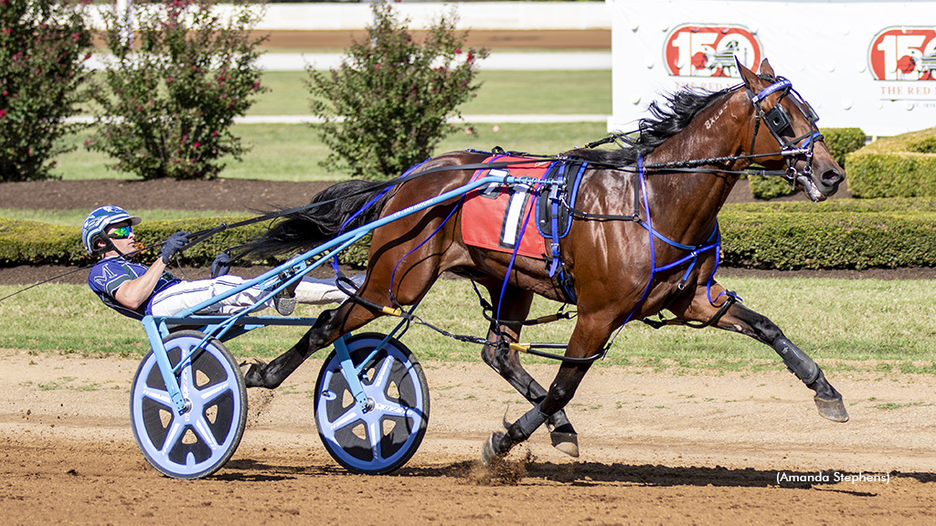 Prince Hal Hanover Mighty In Bluegrass