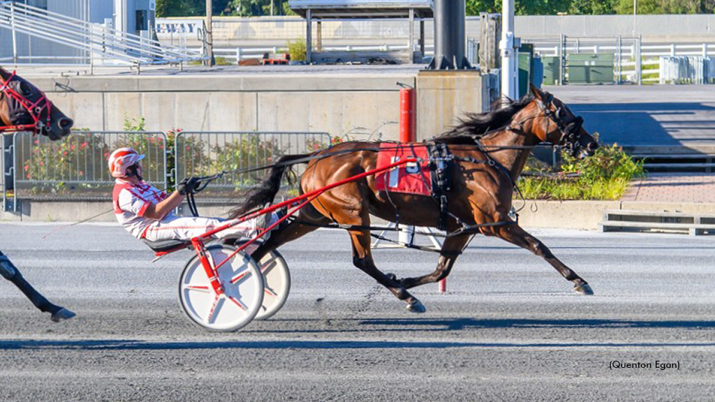 Ragtime Red Wins First Open In Harrington Debut