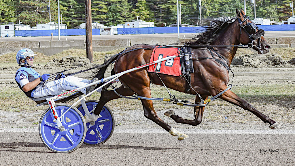 Real Horrowshow, Snowonthepines Stay Perfect