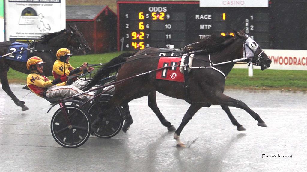 Sea Can Sails In Plainridge Open Trot