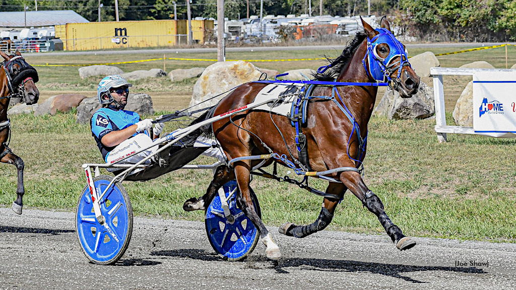 Rookie Pacing Filly Now Perfect In Eight