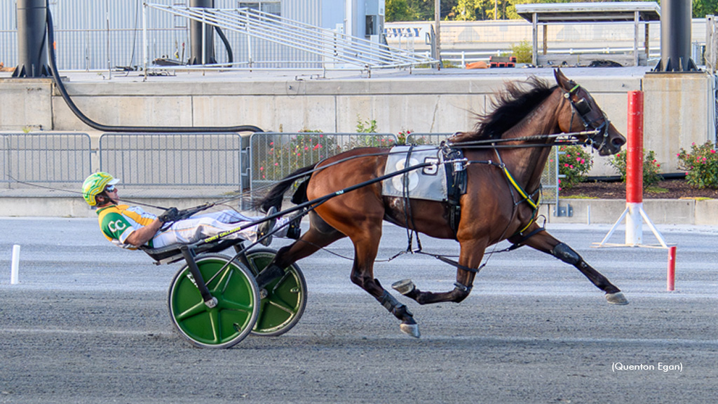 Speed Away Back And Best At Harrington