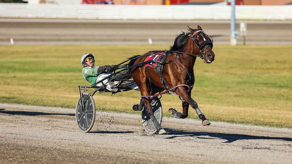 Starship Glyde Does Work In Labour Day Pace