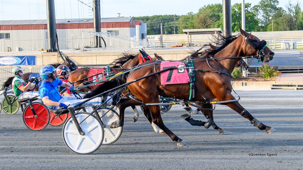 Stevens Saloon Snags Harrington Open