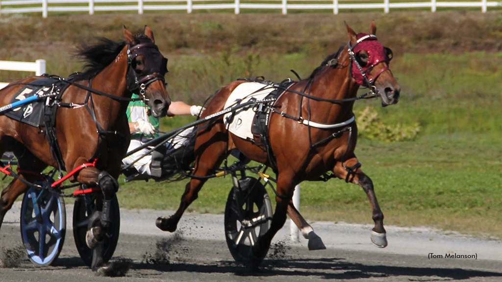Swedish Starlet N Goes The Distance In Plainridge Open