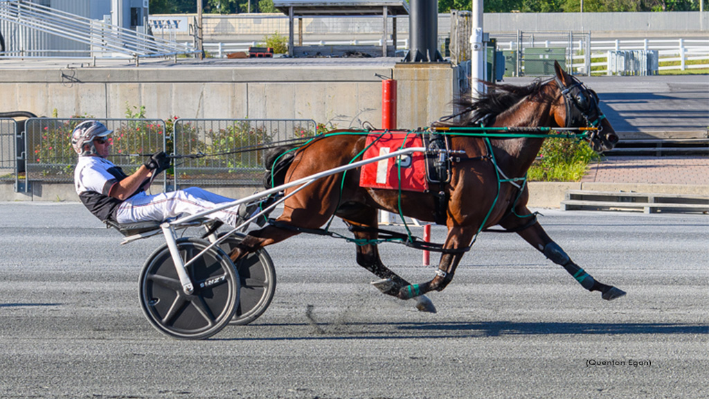 Sweet Angel Boy Dominates Harrington Open