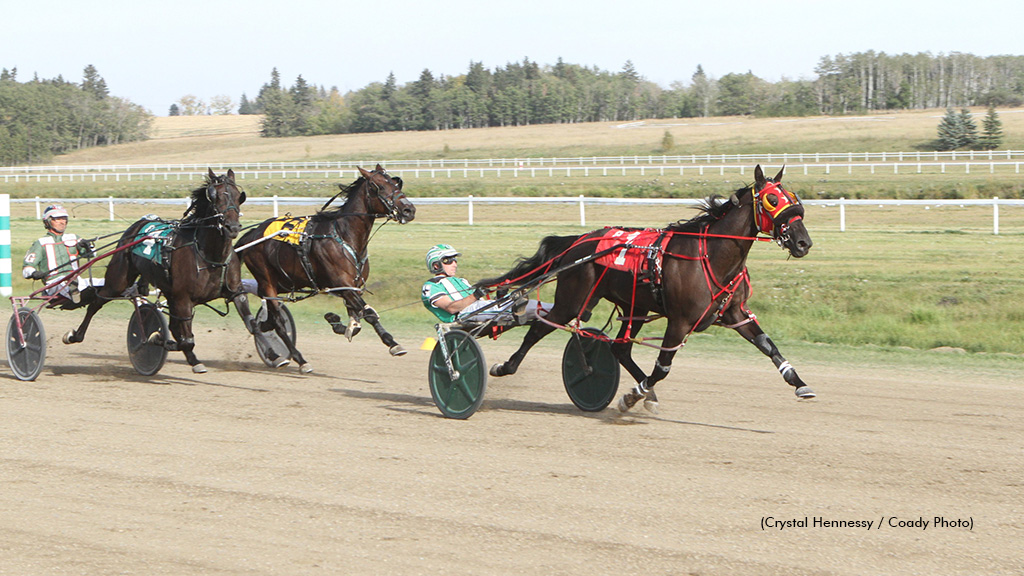 The Great Shark Matches Record In ABSS Rising Star