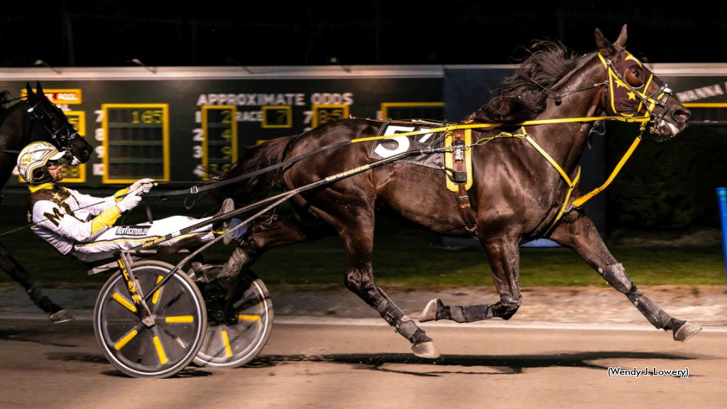 Batavia Opens To Davey Day Trader, Treasured Tee