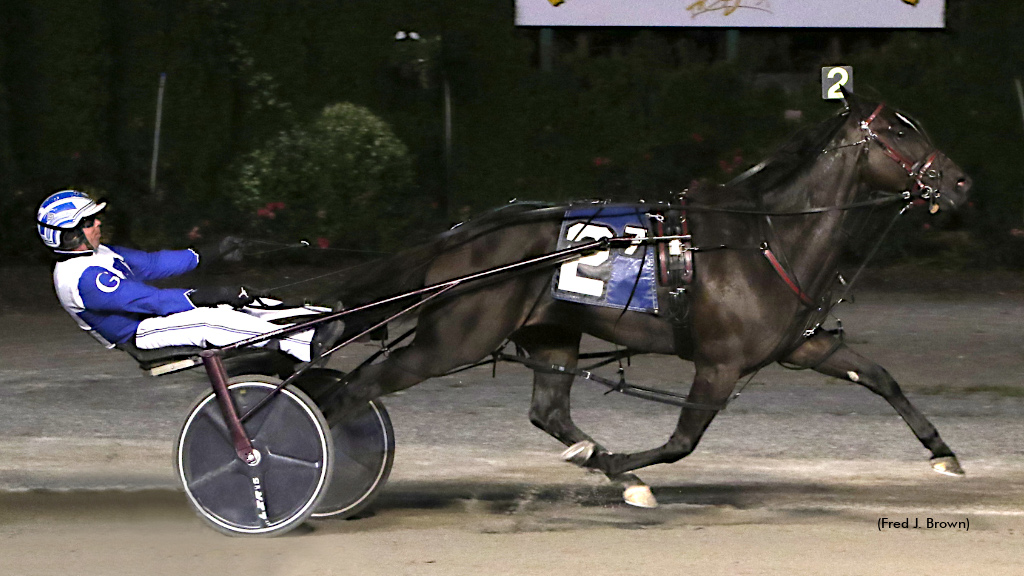 Typhoon Banner N Repeats In Tioga Open