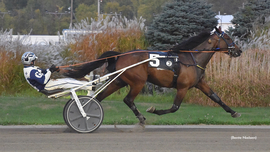 Tyrone Bow Tie Dominant In Rideau Preferred