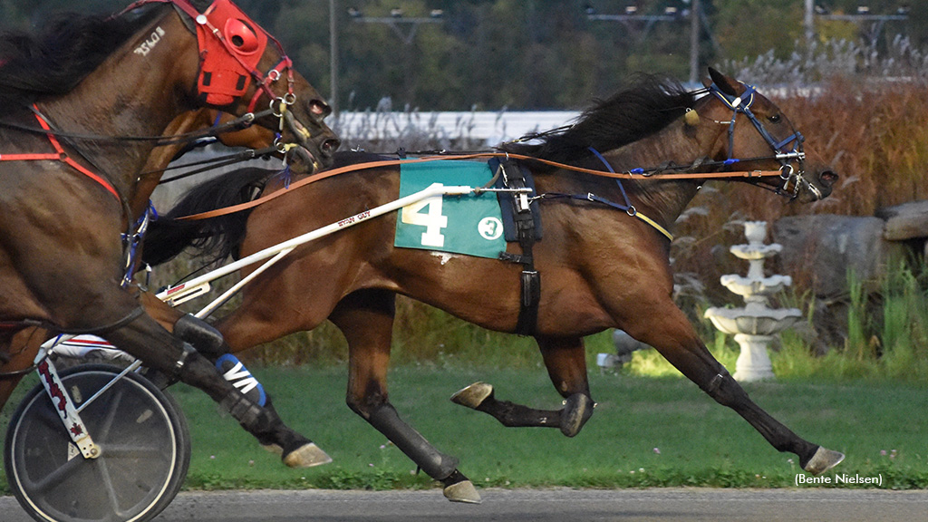 Tyrone Bow Tie Tops Again In Rideau Preferred